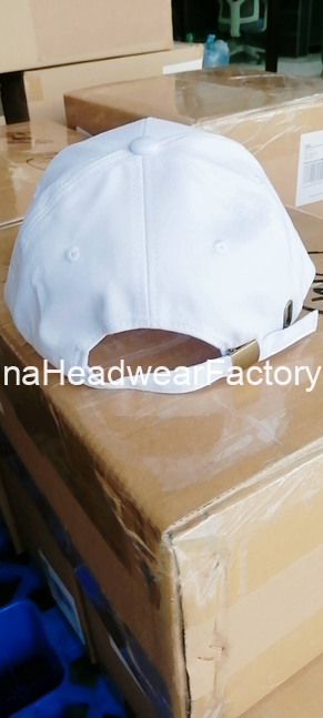 13-10-2025_1760351322_518d21d14255ce72afa851df7e0b1bcc0