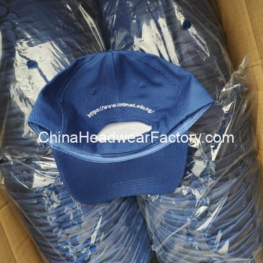 23-03-2024_1711180166_impicture18a3fc7d4f3d5c3e3c12ed8cb57f9471