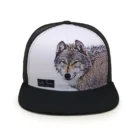 H0bb03986a29c4819a857e6de6ff244b3p