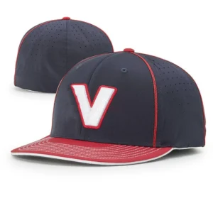 Curved Flat Brim Stretch Elastic Snapback