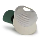 H25257a12651349a9a49b786d91b87b95p