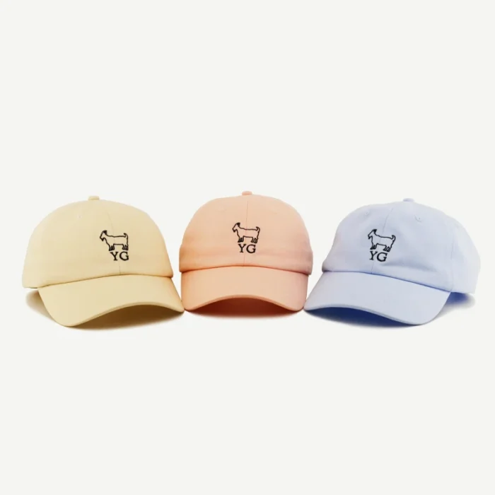 H2a865beca19f47bba61f4ee43d1520f6r