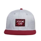 H2c4e69338cf2472fb1b4a6f82c728d11v