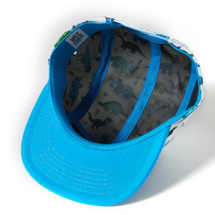 H458628ad28c8451ab443a27bf339709bP