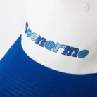 H47c75208c93f46fc91952418352309835