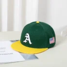 H4c34fe339cda4d2893317df6f1fad455D