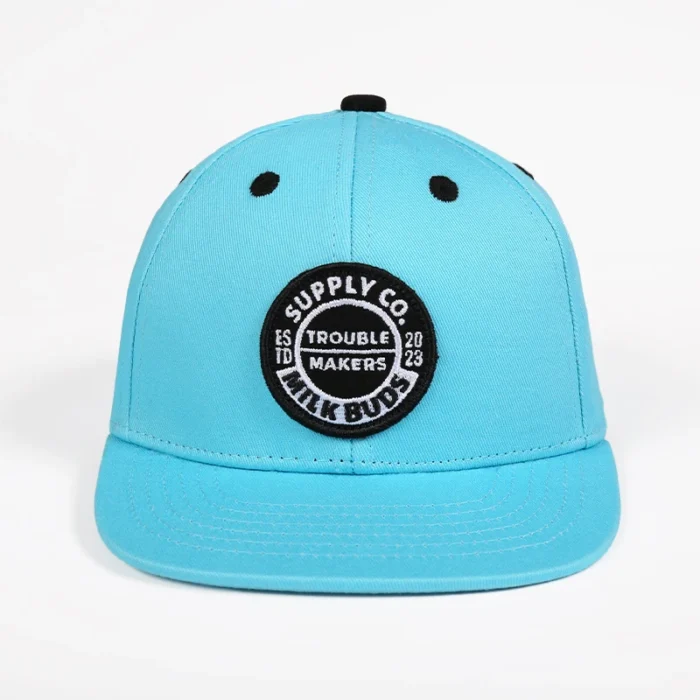 H5404b07094a44ab58ddb50a80f5a3d4e2