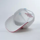 H55e515e68b194bd8b5195a3d12c63d09V