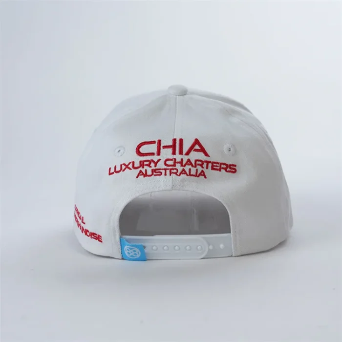 H6517f1fd46294294a1746aa0221912c7j