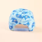 H66cc75d037b6443f82d3b1e20fa3d246J