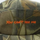 H679e44a930134ca69f9e20986697cf96C