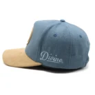 H697036d8d2e344bdb6cf85d2e56dcf0aZ