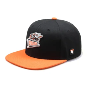 Wholesale China Men Kids Handmade Custom Embroidery Logo Black Organic Snapback Caps & Hats Print
