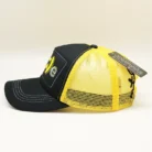 H6feaf842ba5040eb9c8abd6e1b1c19f0E