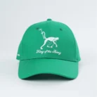 H7124ff7a0e3c4000844049610360a8798