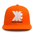 H72fba5035e7149c8bb106383368c9ed2V