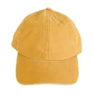 H807e6d46c0594516b54df8c53a0ccdff5-1