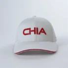 H80e0c694f1ac499b9c48ee367af887dca