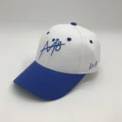 H839caab24eb641da850d4ae9a8ea2ee7j