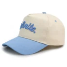 H87618709c08345279871aa9155feff2cx