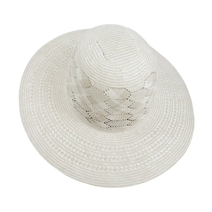 H8f750bccae1c42a1be6c399e5d1c88e0y