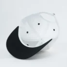 H929ff84ee0814cbea6dbe96417e1a6f0O