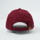 H9c895a88f51242b4a92849266570ca2cd-2