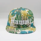 H9cbde6f3618a41edae71adafff16c88b2