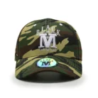 HTB1gwbhaiYrK1Rjy0Fdq6ACvVXai