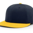 Ha966cc77486d461292c343ea0eadb5f5I-1