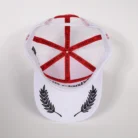 Hb804de2bf3524f88b88a528ad4e624ffe