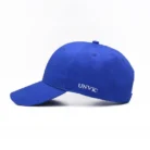 Hbd86d508e79d4af3a5985781b9f4b61fq