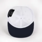 Hc669a4e841914c5790827c8b088da30fF