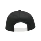 Hca2aa2aa56e747df8924d5518443178bv