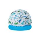 Hd219171aba2443009245fa5e5c2f0a6aS