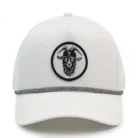 Hd729f23814a34358807182c8bab98837p-1