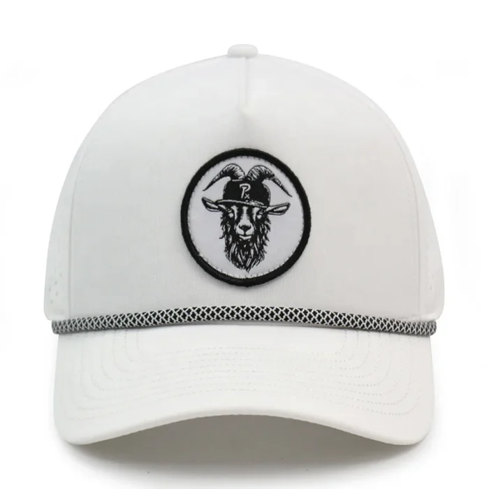 Hd729f23814a34358807182c8bab98837p-1