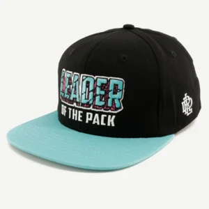 Custom Logo Cotton Snapback Cap Two Tone Embroidery Flat Brim