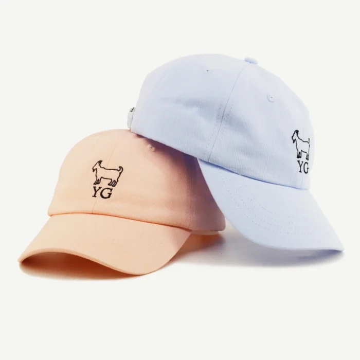 Hf2ed298a5db44a0190f9f68128eed3ccY