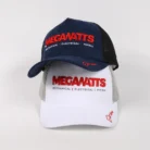 Hf681edf13aaf49c0a31cb370ac0b4091c