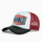 Hf854f794a3a74edba4561dc31ce29b565