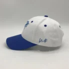 Hff379e6e59484abcb6e0212550910cb7x